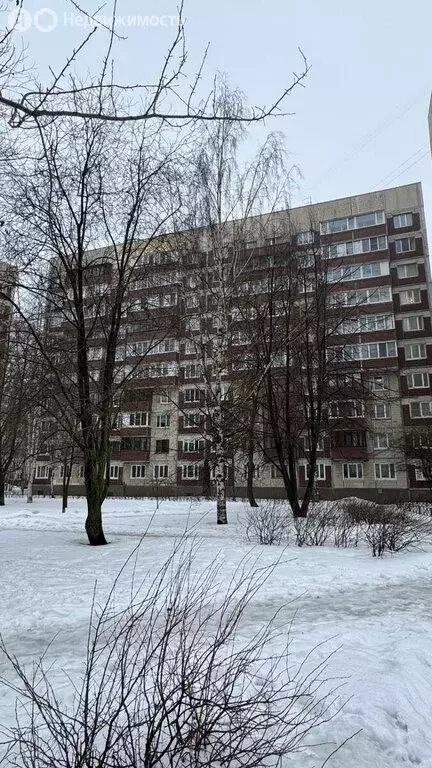 1-комнатная квартира: Санкт-Петербург, проспект Пятилеток, 15к4 (33.3 ... - Фото 1