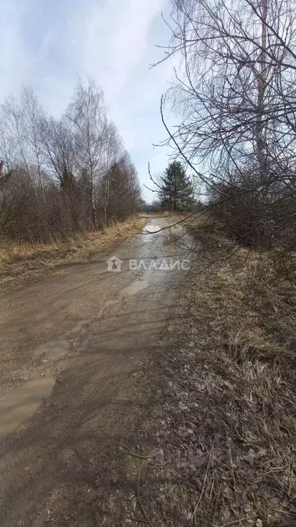 Участок в Владимирская область, Камешковский муниципальный округ, ... - Фото 1