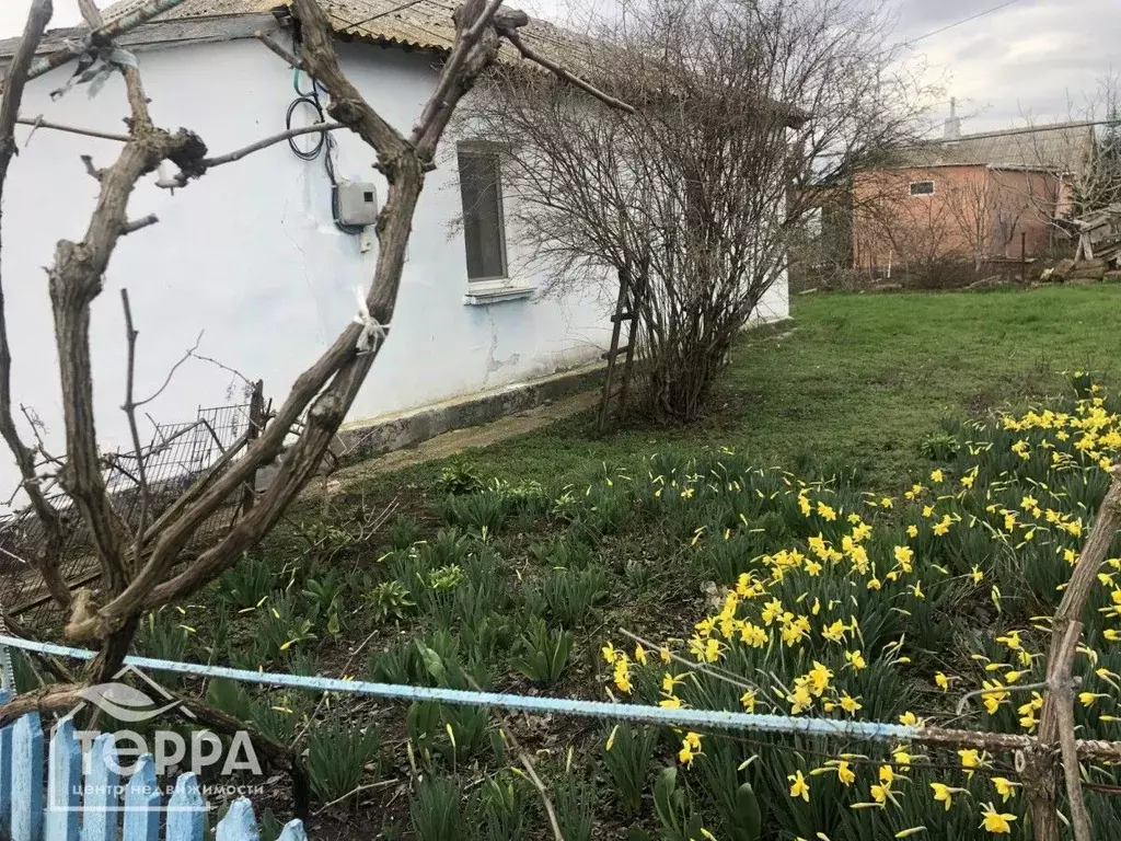 Дом в Крым, Сакский район, Суворовское с/пос, с. Великое ул. ... - Фото 2