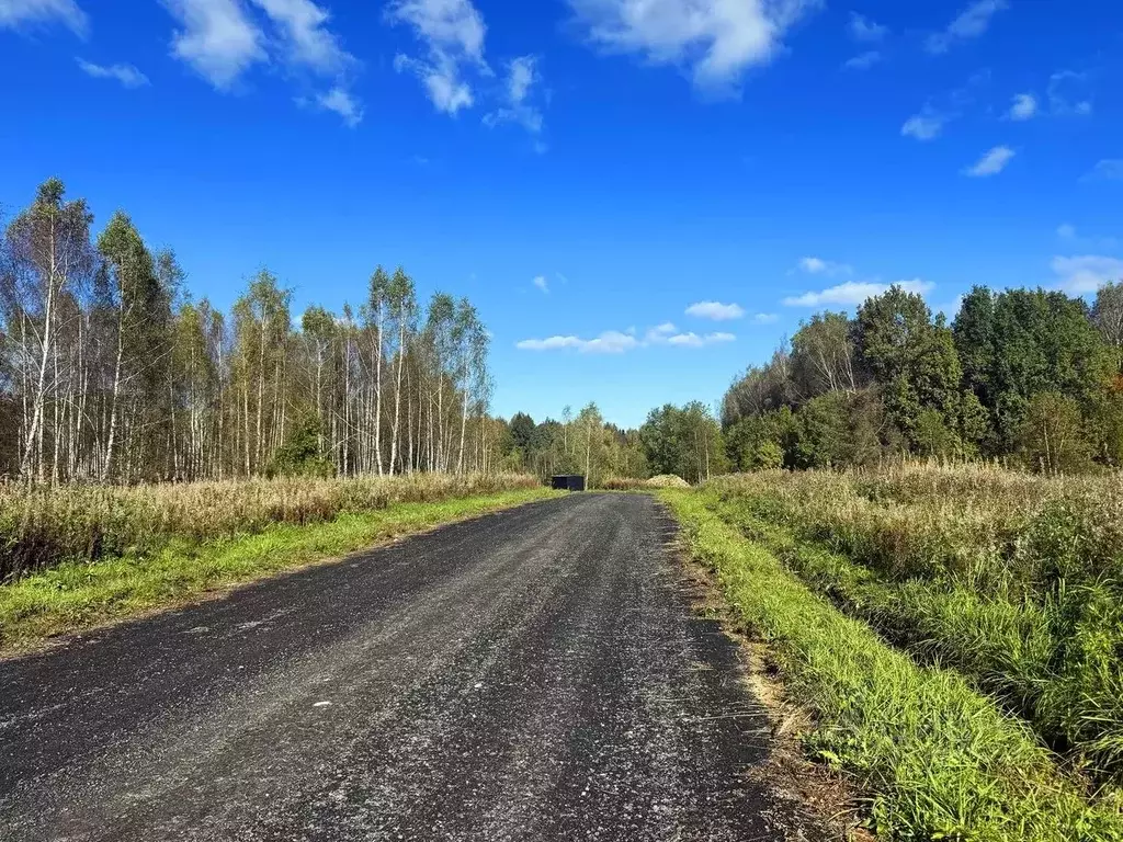 Участок в Московская область, Дмитровский муниципальный округ, Сбоево ... - Фото 1