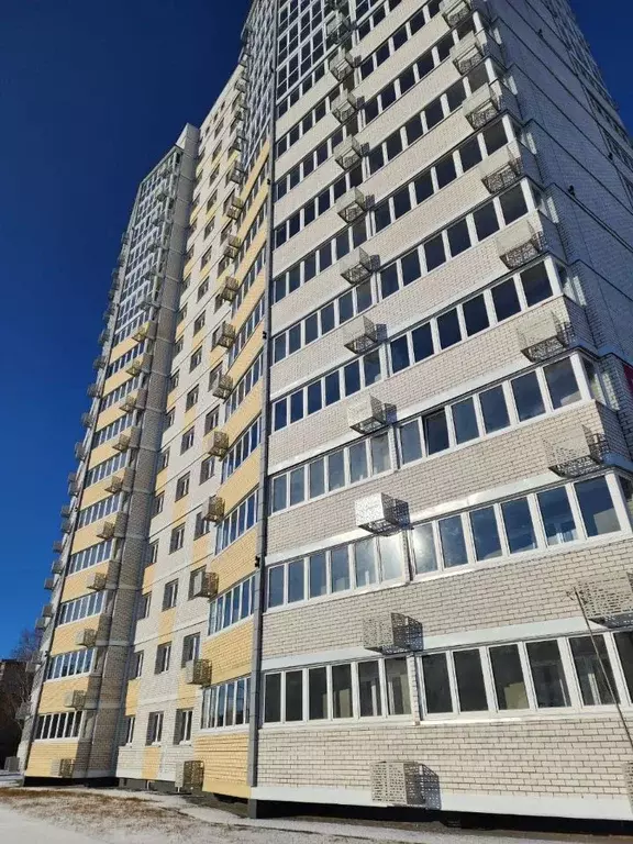 3-к кв. Амурская область, Благовещенский район, с. Чигири ул. ... - Фото 1