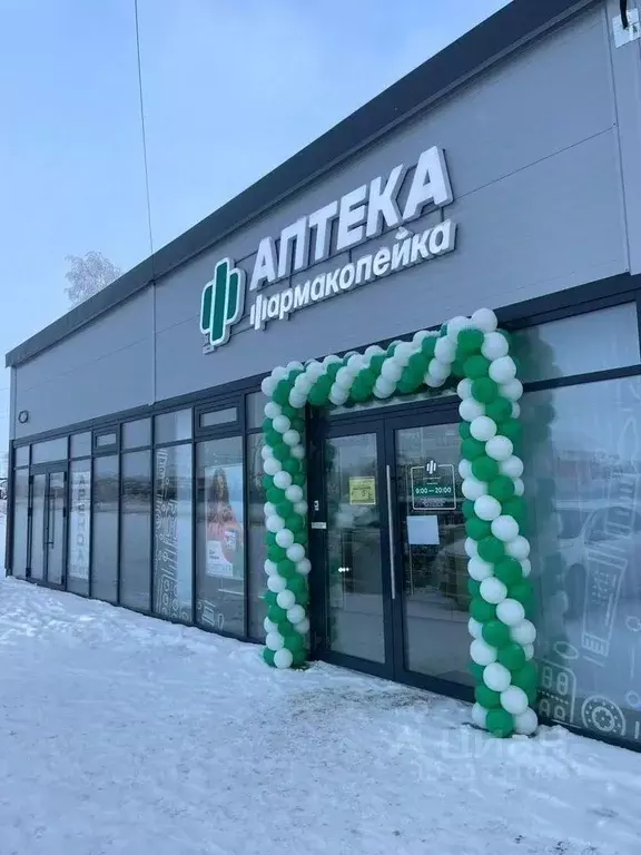 Помещение свободного назначения в Омская область, Омский район, с. ... - Фото 1