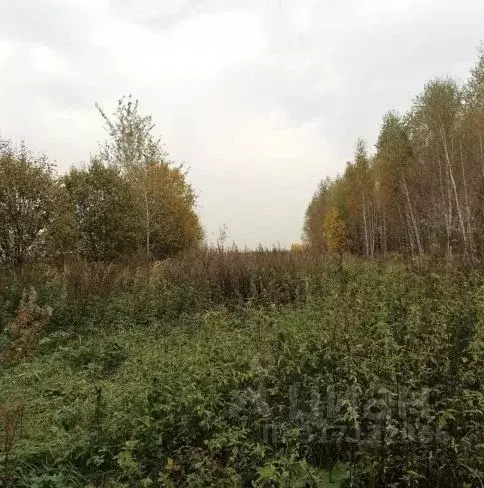 Участок в Московская область, Дмитровский муниципальный округ, д. ... - Фото 0