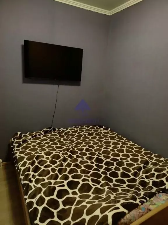 Студия Ростовская область, Волгодонск Октябрьский пер. (24.0 м) - Фото 1