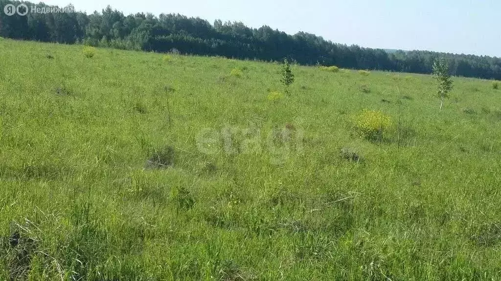 Участок в Новосибирск (600 м) - Фото 0