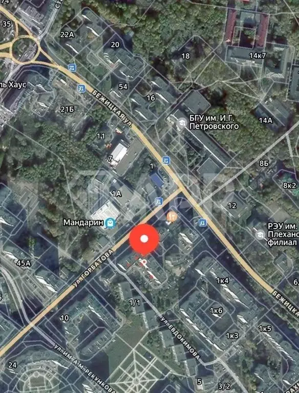 Помещение свободного назначения в Брянская область, Брянск Бежицкая ... - Фото 2