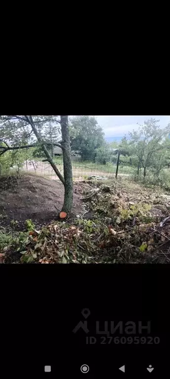 Участок в Самарская область, Жигулевск городской округ, с. Солнечная ... - Фото 2