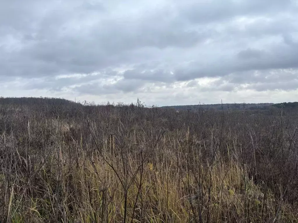 Участок в Московская область, Воскресенск городской округ, д. ... - Фото 1