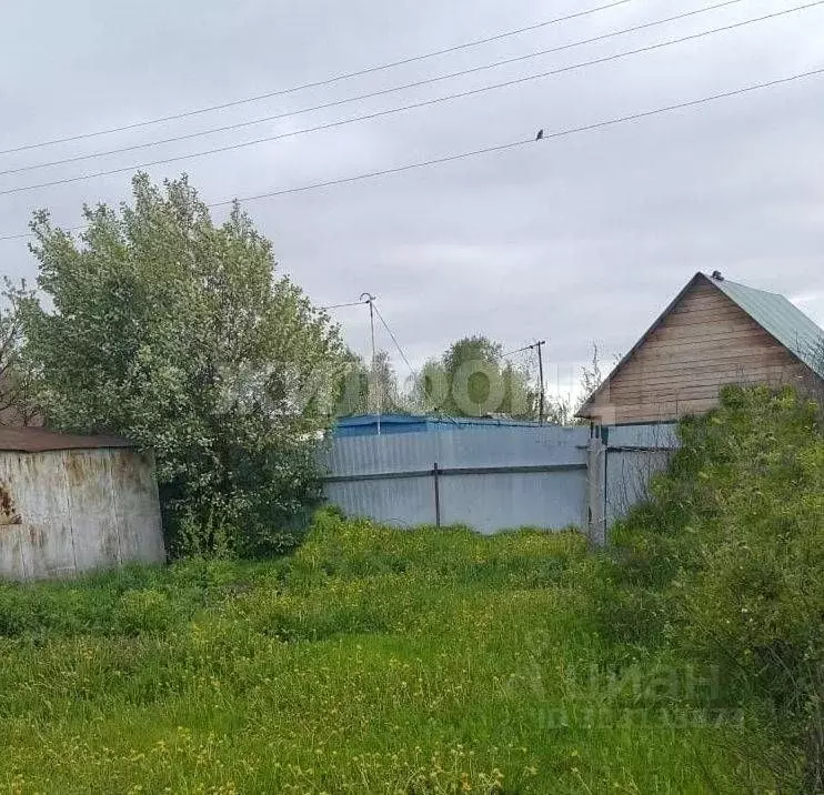 Участок в Новосибирская область, Колыванский район, Надежда СТ  (6.0 ... - Фото 1