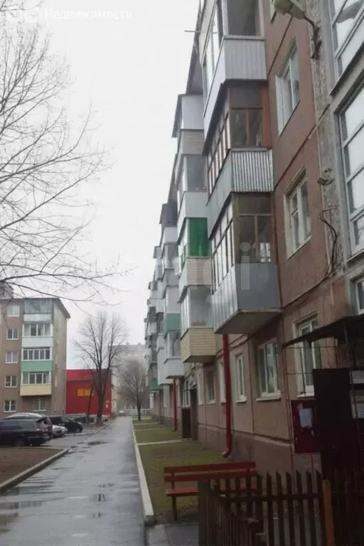 1-комнатная квартира: Брянск, Бежицкий район, Клинцовская улица, 67/58 ... - Фото 1