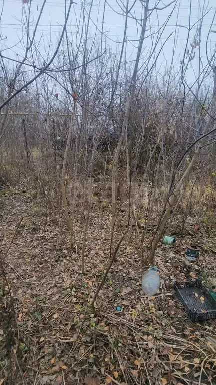 Участок в Воронежская область, Семилукский район, с. Латное Солнечная ... - Фото 1