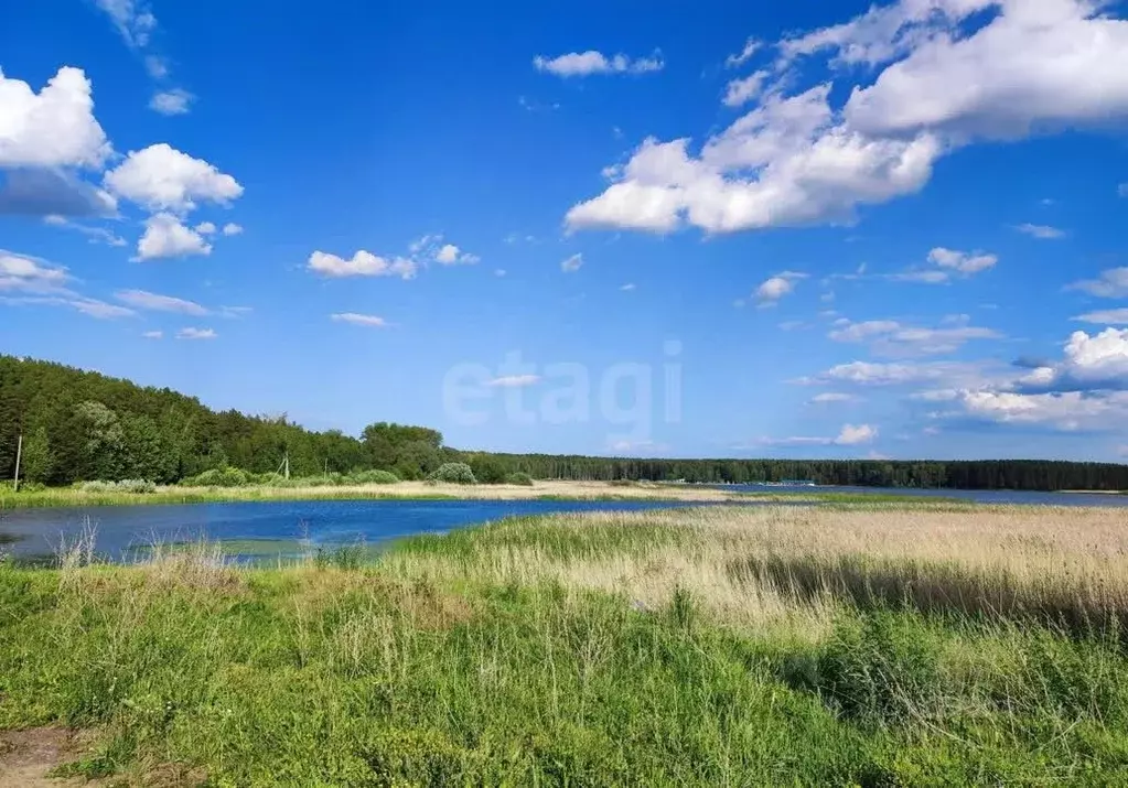 Участок в Новосибирская область, Ордынский район, с. Усть-Алеус ул. ... - Фото 1