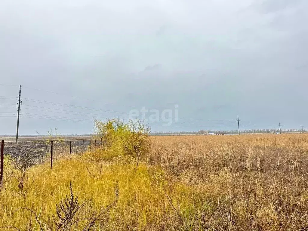 Участок в Воронежская область, с. Новая Усмань ул. Российская (7.3 ... - Фото 0