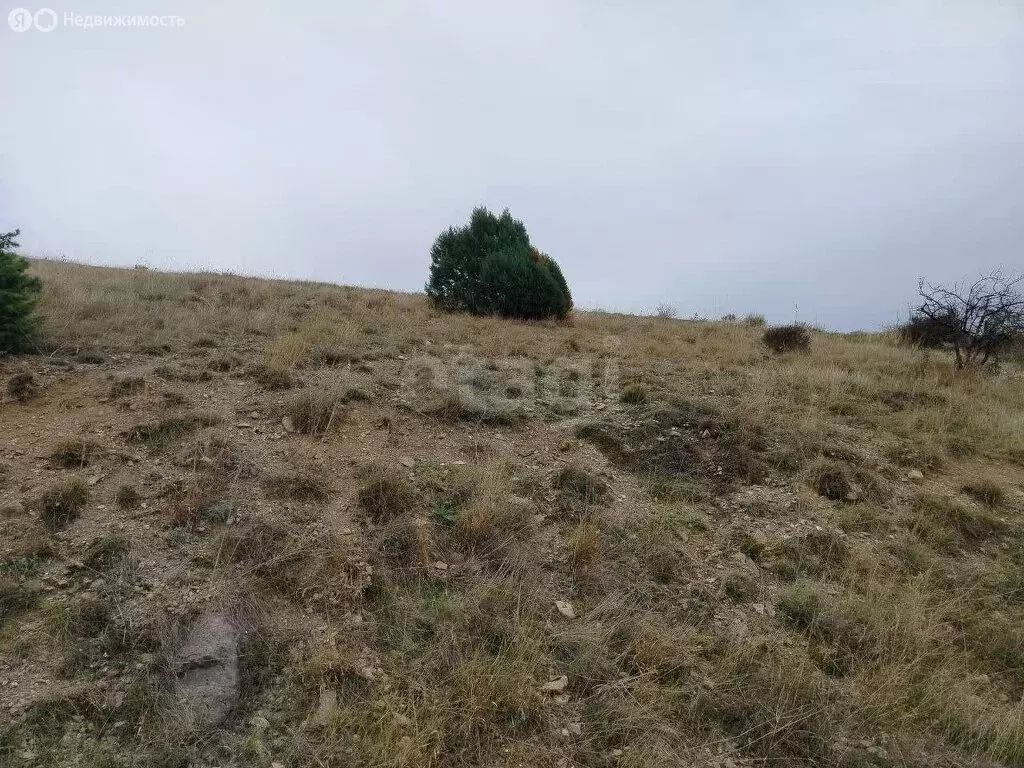 Участок в Республика Крым, Судак (1 м) - Фото 2