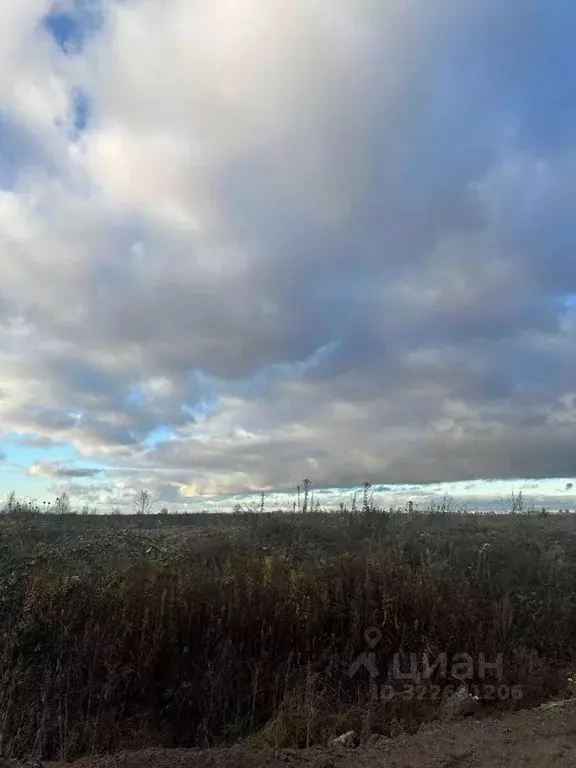 Участок в Ленинградская область, Ломоносовский район, Виллозское ... - Фото 1