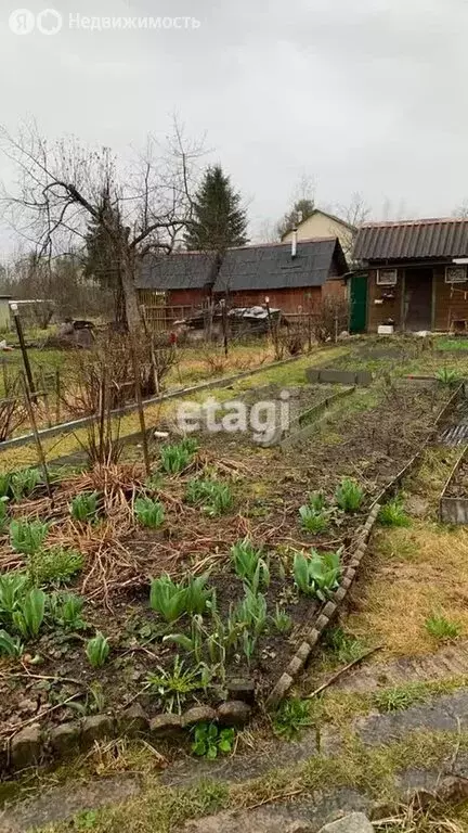 Участок в Мшинское сельское поселение, садоводческий массив Мшинская ... - Фото 1