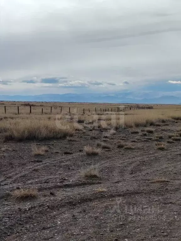 Участок в Алтай, с. Кош-Агач пл. Ленина (55999.0 сот.) - Фото 1