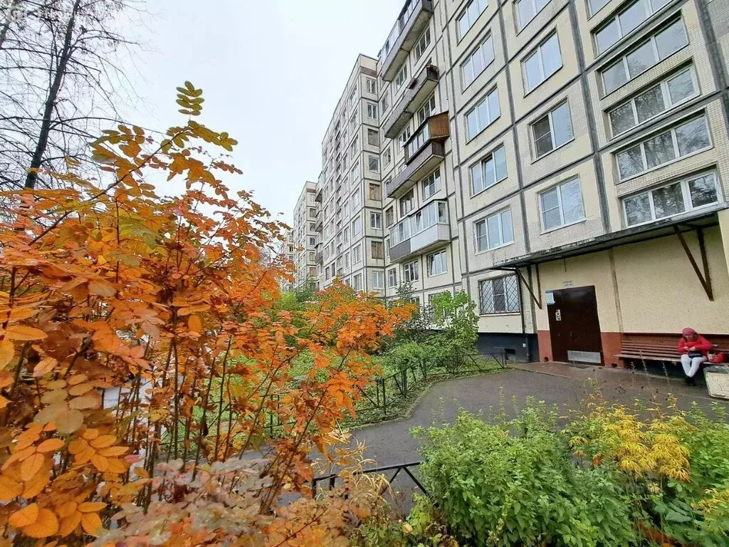 2-комнатная квартира: Санкт-Петербург, Северный проспект, 77к4 (45.3 ... - Фото 1