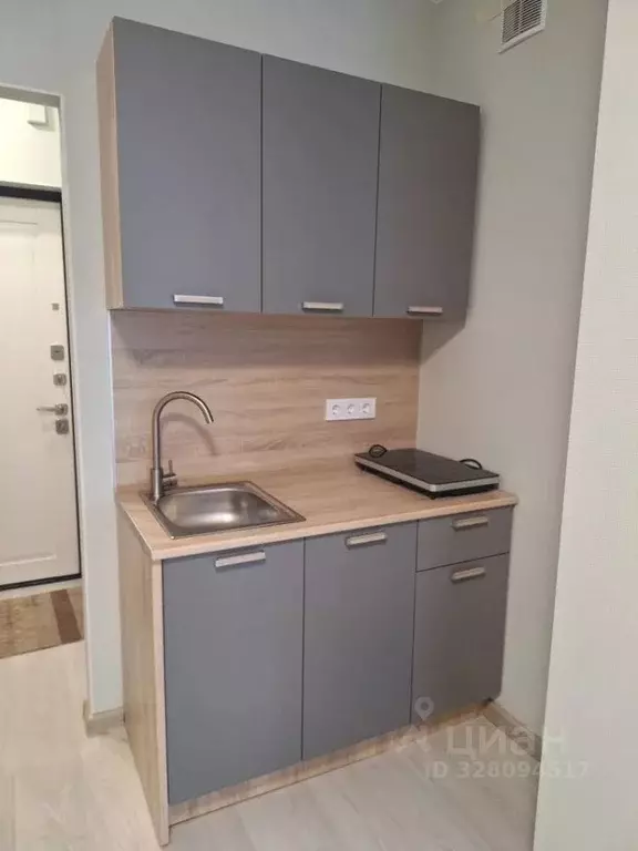 1-к кв. Санкт-Петербург пос. Шушары, просп. Старорусский, 3к1 (30.4 м) - Фото 1