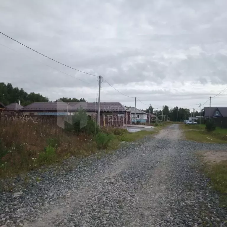 Участок в Тюменская область, Тюменский муниципальный округ, с. Гусево  ... - Фото 2