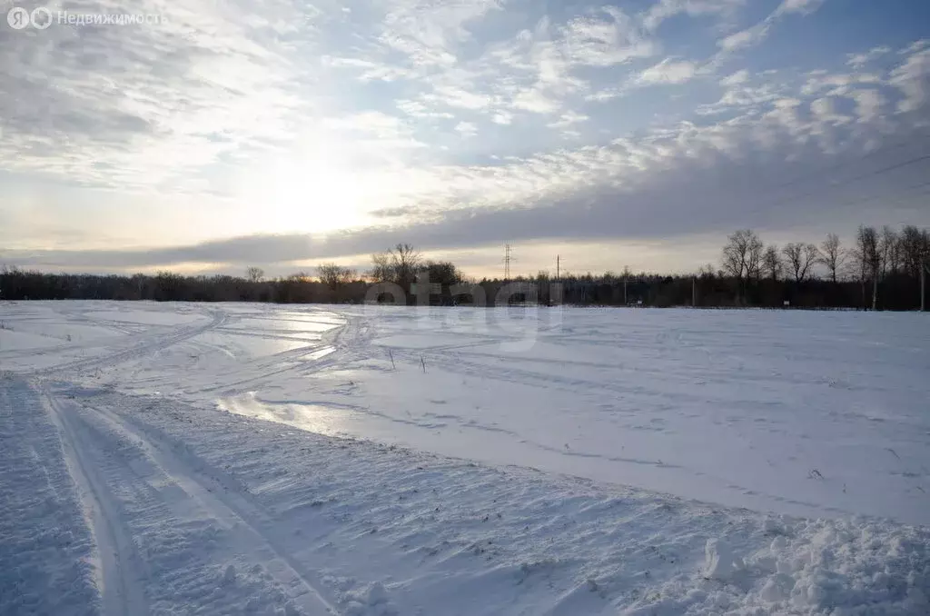 Участок в Заводоуковск, улица Гилёвская Роща (11.38 м) - Фото 0