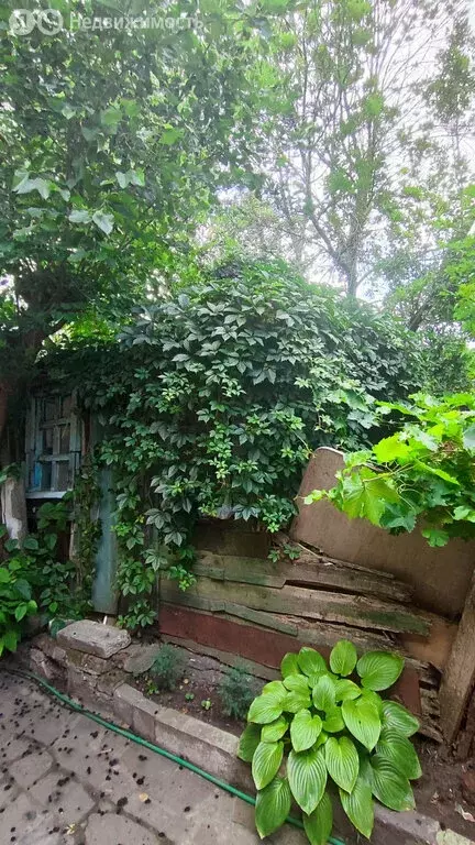 1-комнатная квартира: Новочеркасск, улица Грекова, 69 (27 м) - Фото 0