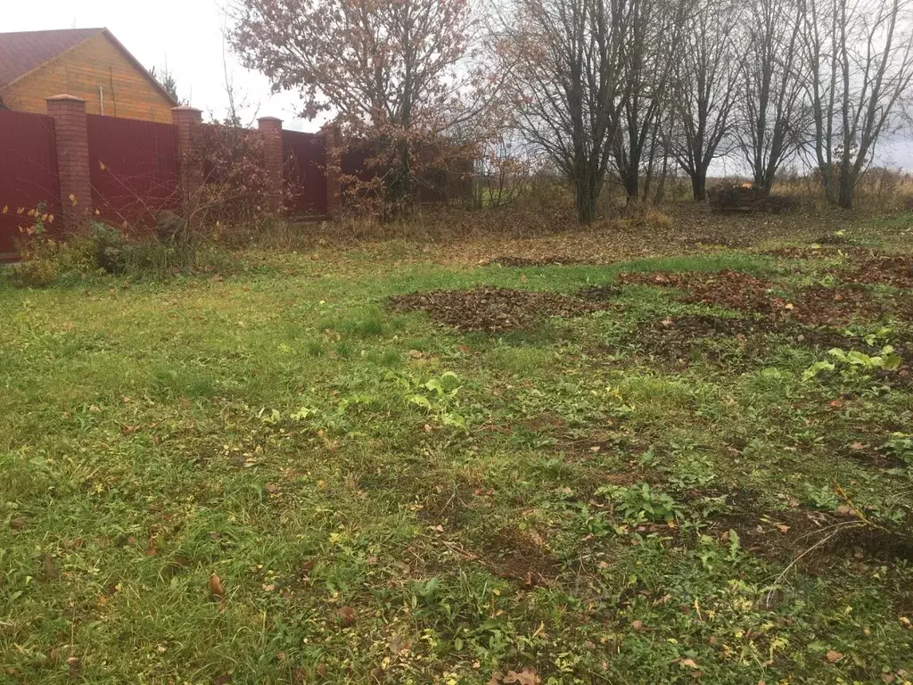 Участок в Московская область, Пушкинский городской округ, д. Талицы  ... - Фото 1