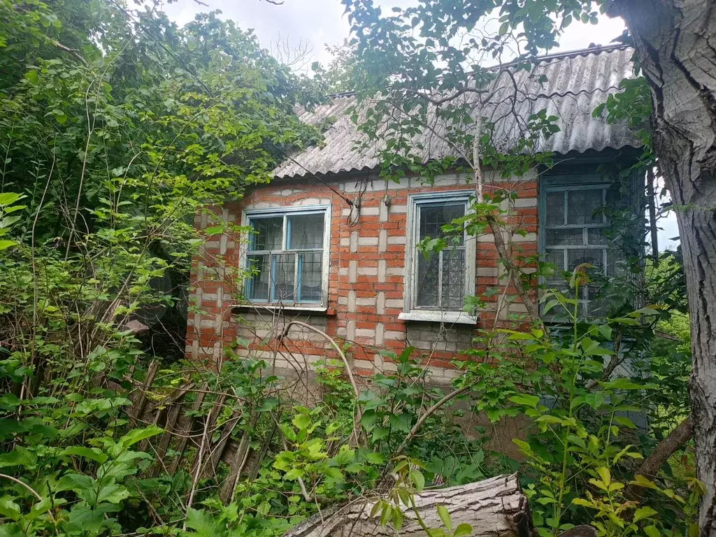 Дача 16 м на участке 5 сот. - Фото 0