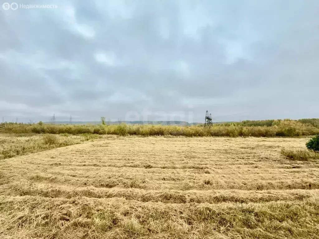 Участок в Тобольск, микрорайон Иртышский (7.8 м) - Фото 0