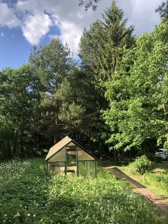 Участок в Московская область, Одинцовский городской округ, д. Сергиево ... - Фото 2