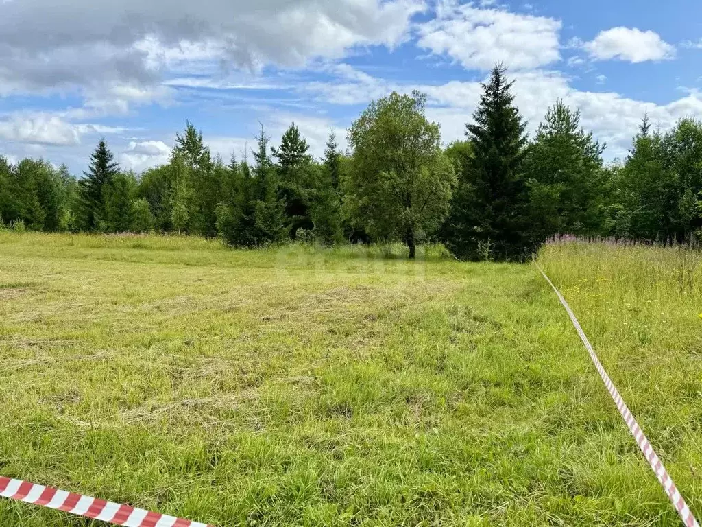 Участок в Пермский край, Добрянский муниципальный округ, с. Красная ... - Фото 2