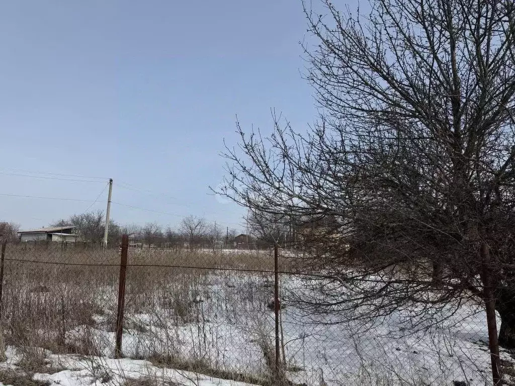 Участок в Курская область, Курск Вишенка СНТ, 267В (8.0 сот.) - Фото 1