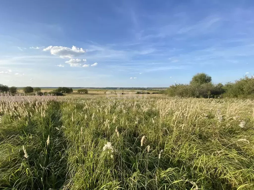 Участок в Мордовия, с. Лямбирь ул. Мира (10.0 сот.) - Фото 1