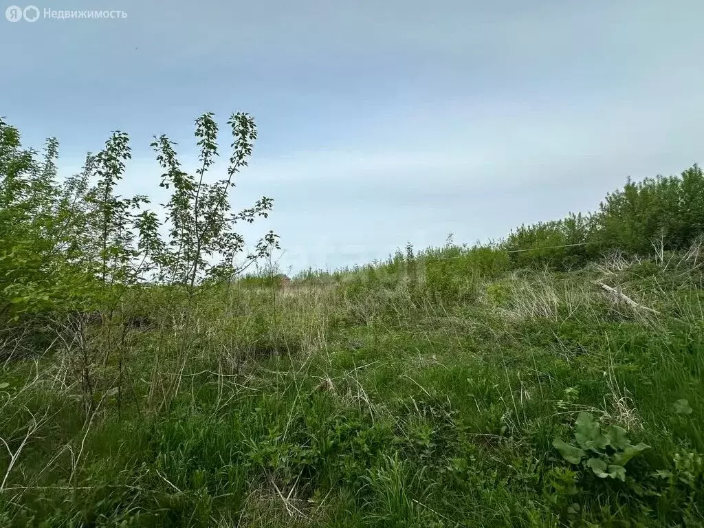 Участок в Чебаркульский округ, деревня Боровое, улица Гагарина (5 м) - Фото 1