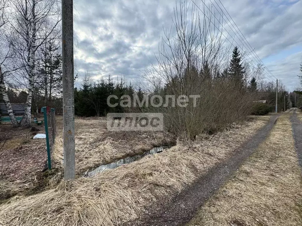 Участок в Московская область, Можайский муниципальный округ, Рябина ... - Фото 2