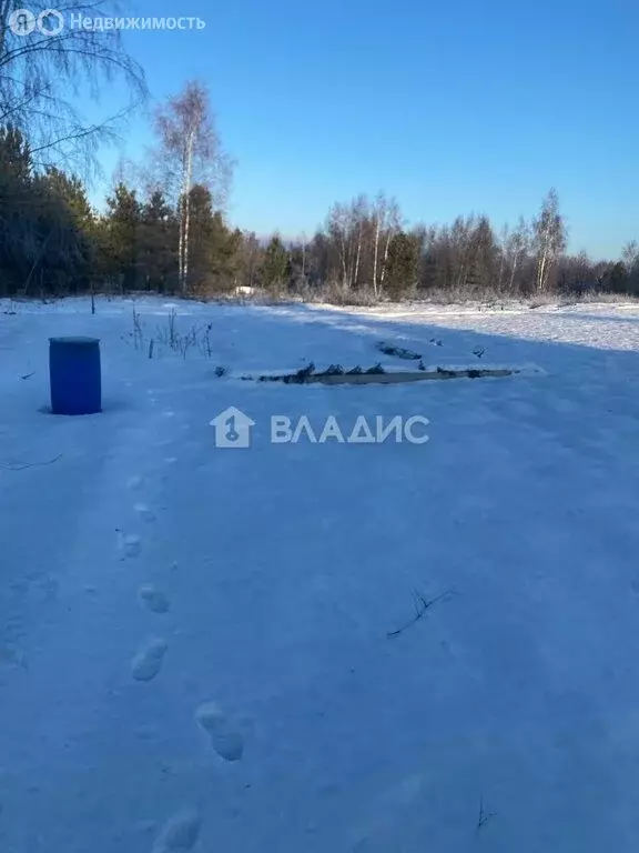 Участок в Владимирская область, муниципальное образование Петушинское, ... - Фото 0