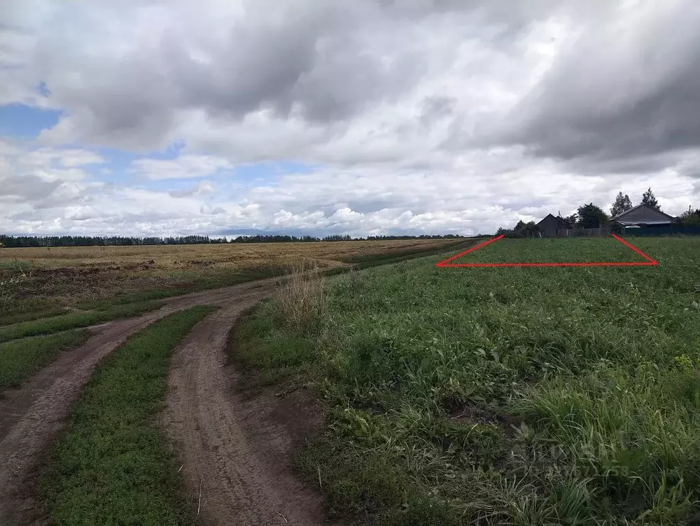 Участок в Нижегородская область, Арзамас городской округ, с. Семеново ... - Фото 2