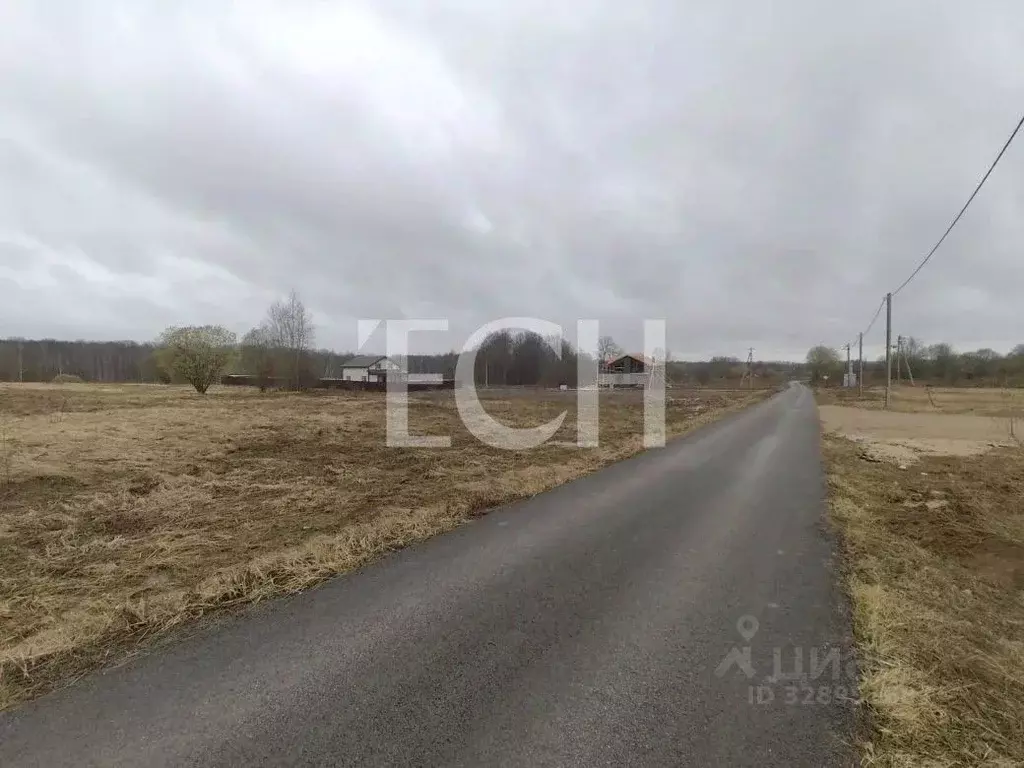 Участок в Тульская область, Тула городской округ, с. Зайцево ул. ... - Фото 1