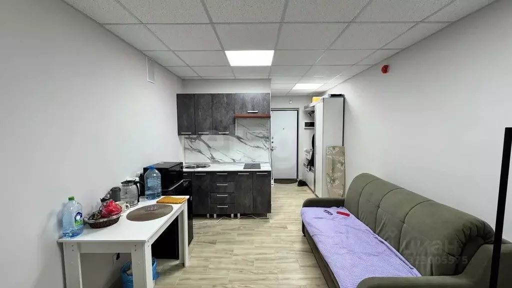 Студия Смоленская область, Смоленск проезд Маршала Конева, 32 (19.6 м) - Фото 1