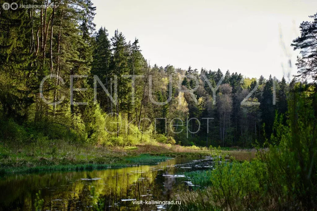 Участок в посёлок Калинино, Южная улица (12 м) - Фото 1