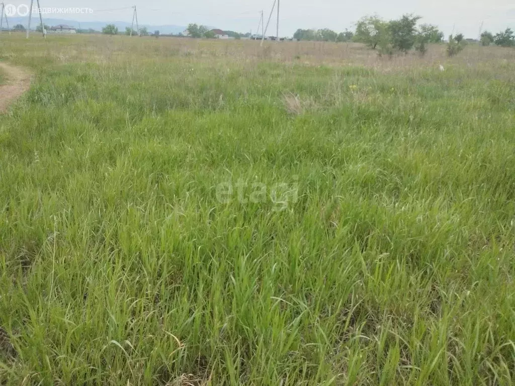 Участок в деревня Кайбалы, Бирилюсская улица (10 м) - Фото 1