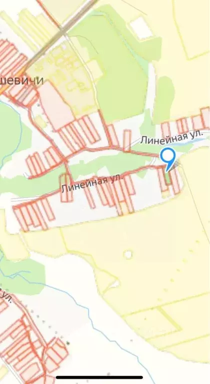 Участок в Брянская область, Жирятинское с/пос, с. Страшевичи ул. ... - Фото 0