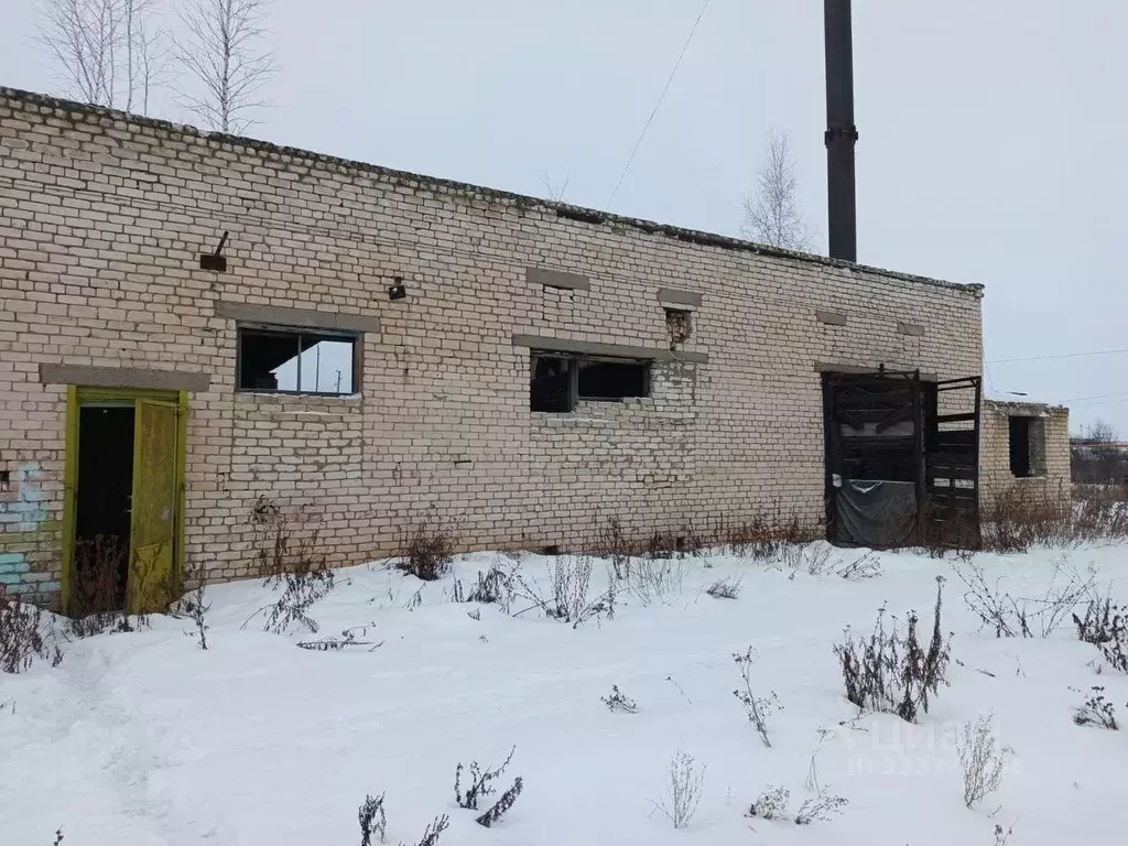 Помещение свободного назначения в Нижегородская область, Вадский ... - Фото 2