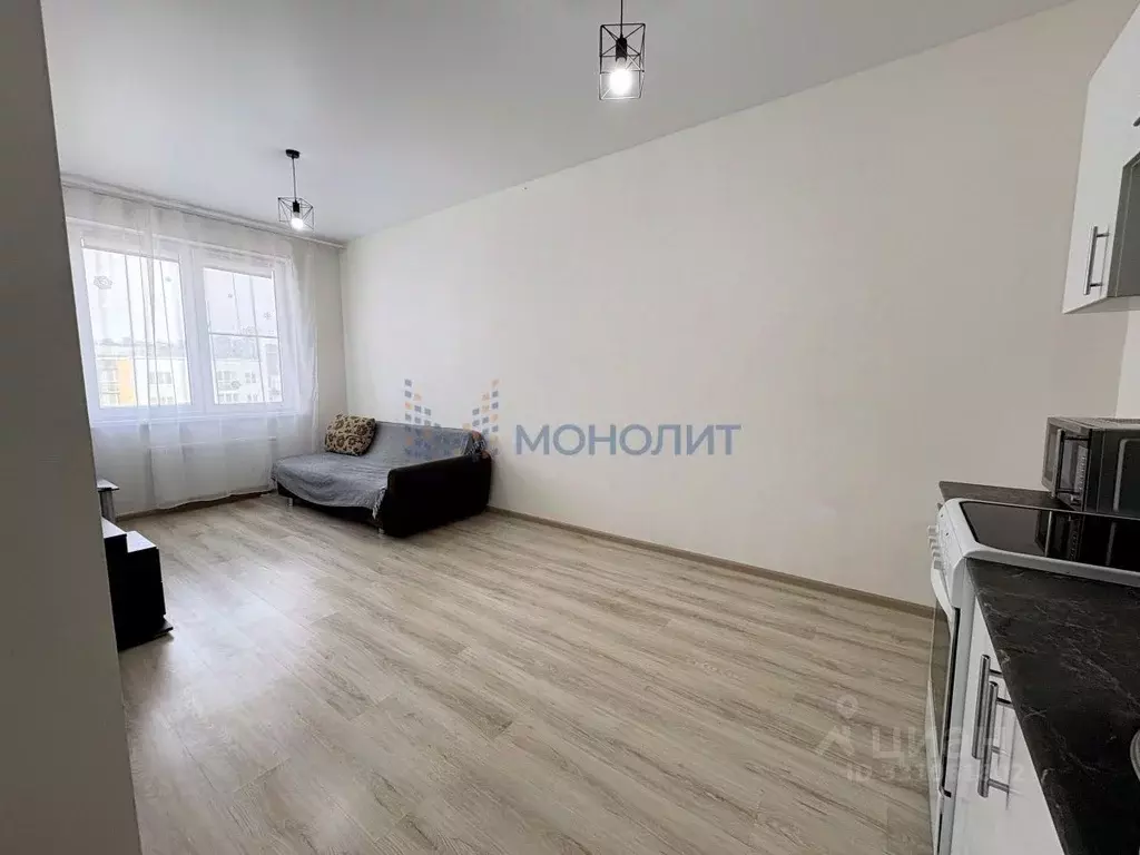 1-к кв. Нижегородская область, Нижний Новгород д. Анкудиновка, ул. ... - Фото 2
