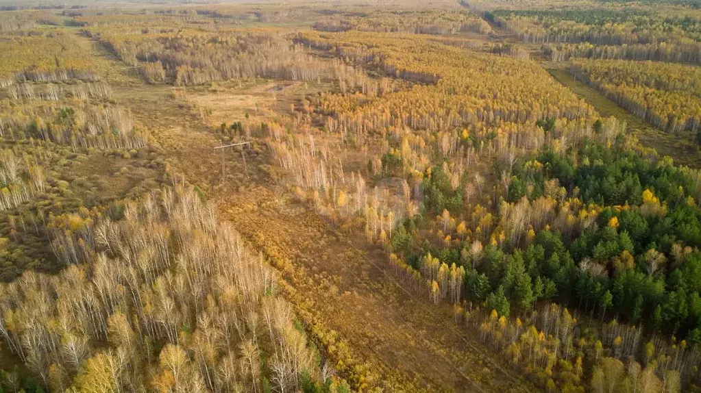 Участок в Тюменская область, Тюменский район, с. Салаирка  (76.0 сот.) - Фото 0