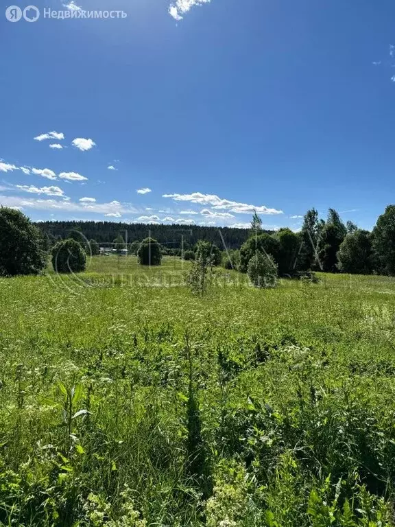 Участок в Выборгский район, Каменногорское городское поселение, ... - Фото 1