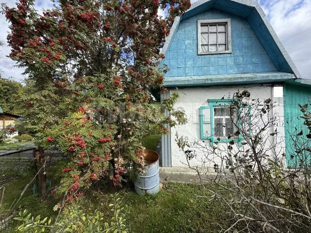 Дом в Новосибирская область, Новосибирский район, Толмачевский ... - Фото 1