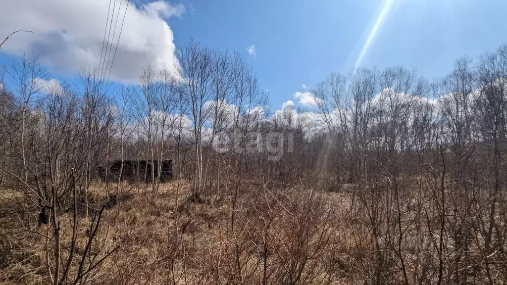 Участок в Камчатский край, Елизовский муниципальный округ, Свет СНТ  ... - Фото 1