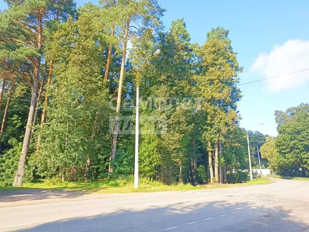 Участок, 17 сот., поселения (ижс) - Фото 1