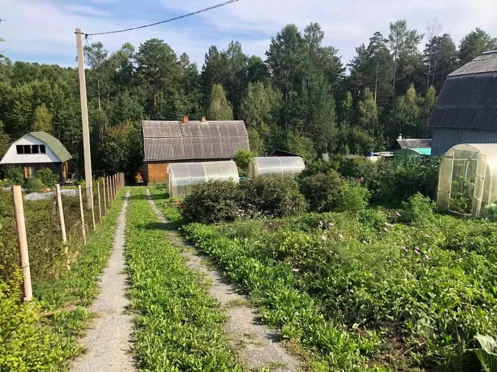 Дом в Иркутская область, Иркутский муниципальный округ, Восовец СНТ ... - Фото 2